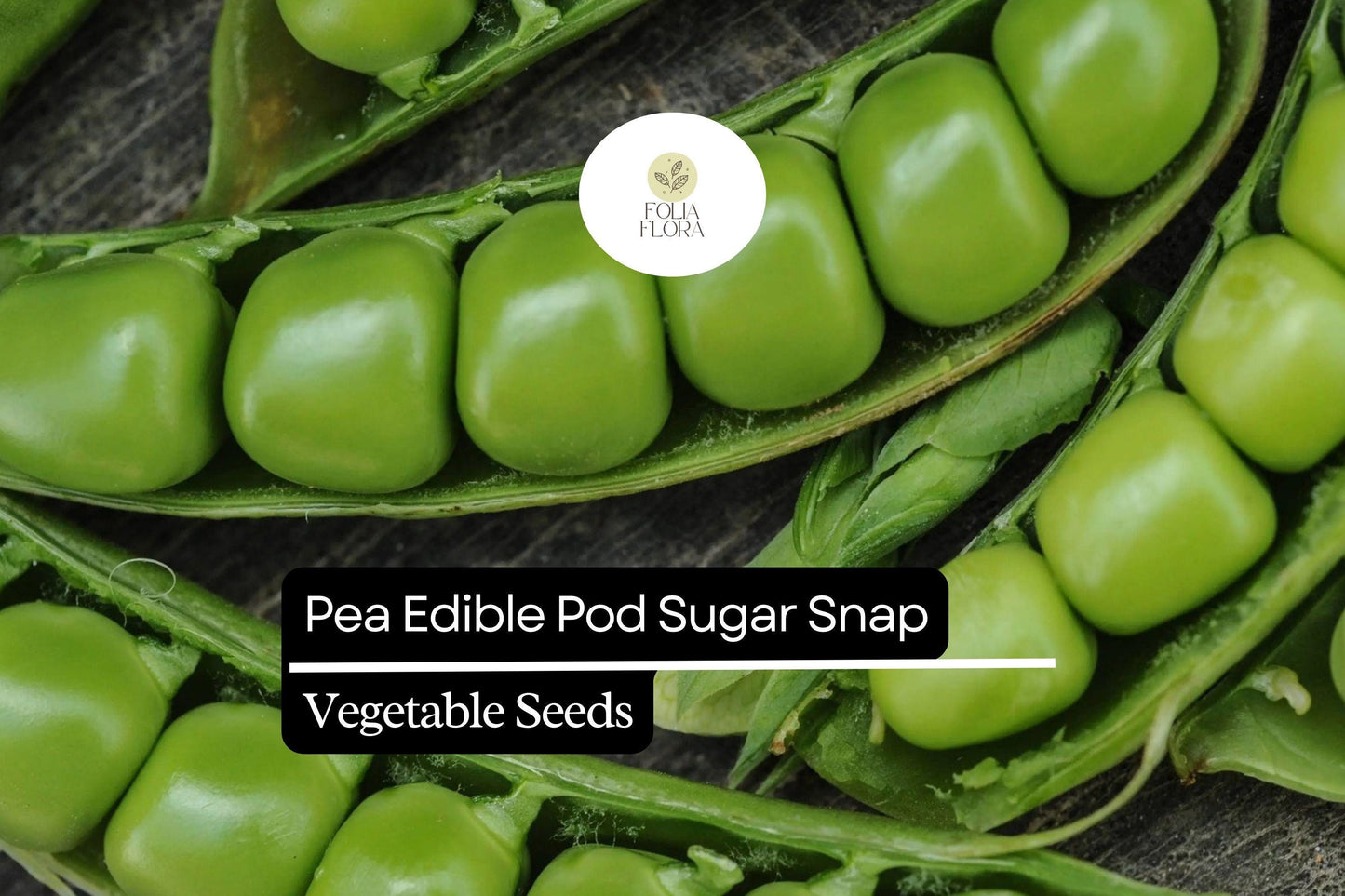 5g Pea Edible Pod Sugar Snap Seeds Pisum sativum | Sweet, Crunchy Heirloom, Non-GMO, Easy-to-Grow, Perfect for Fresh Snacking