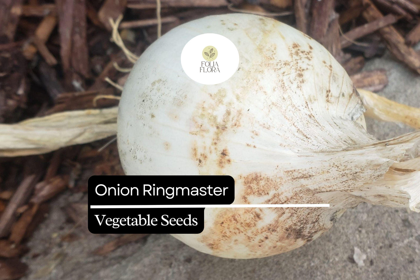 Onion Ringmaster Seeds 250mg | Allium cepa | Non-GMO, Crisp White Bulbs, Perfect for Rings, Salads & Cooking, Easy to Grow