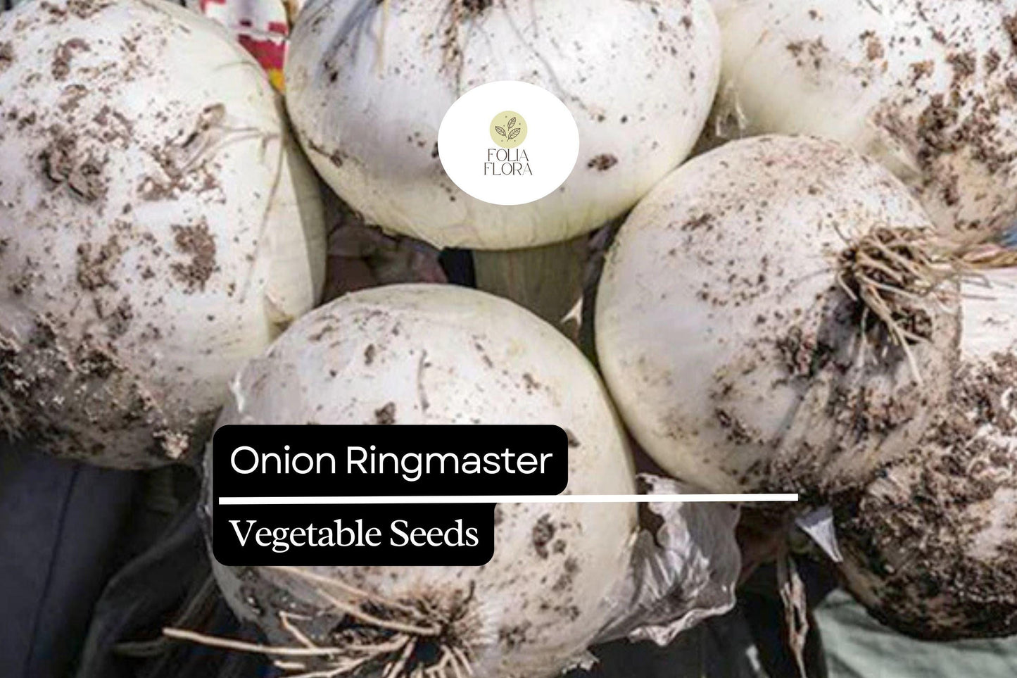 Onion Ringmaster Seeds 250mg | Allium cepa | Non-GMO, Crisp White Bulbs, Perfect for Rings, Salads & Cooking, Easy to Grow