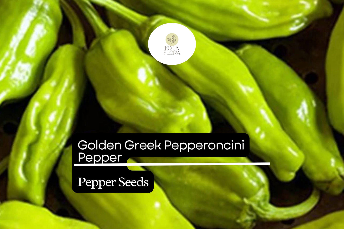 30 Seeds Golden Greek Pepperoncini – Mild Pepper, Capsicum annuum