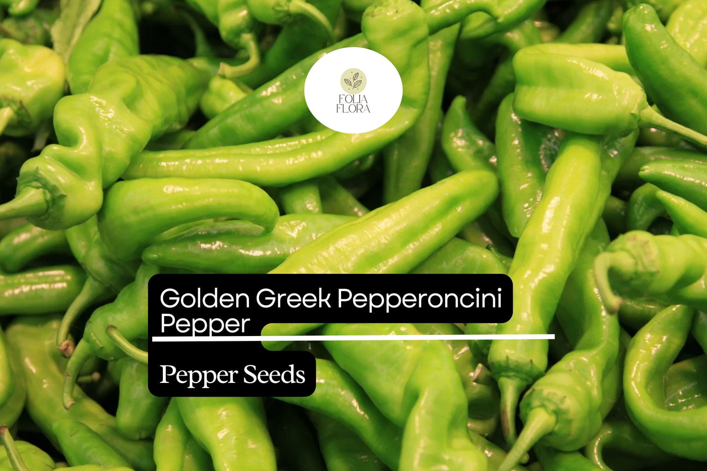 30 Seeds Golden Greek Pepperoncini – Mild Pepper, Capsicum annuum