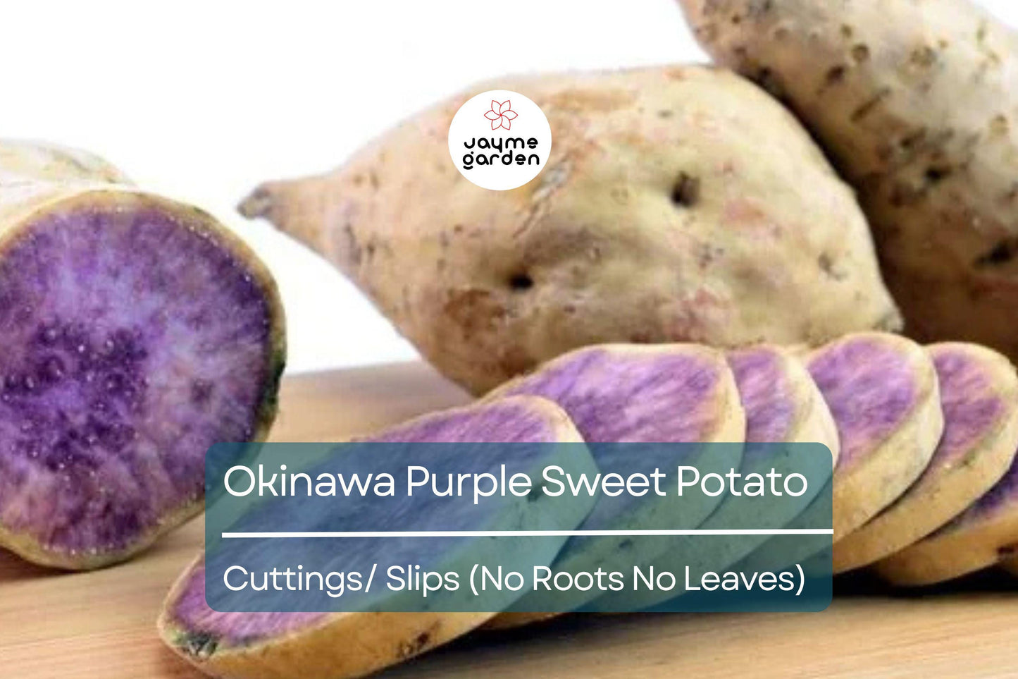 10 Hawaii Okinawa Purple Sweet Potato Slips - Khoai Lang Tim - No Roots, No Leaves, Easy to Grow Unroot Cuttings, Fast Growing