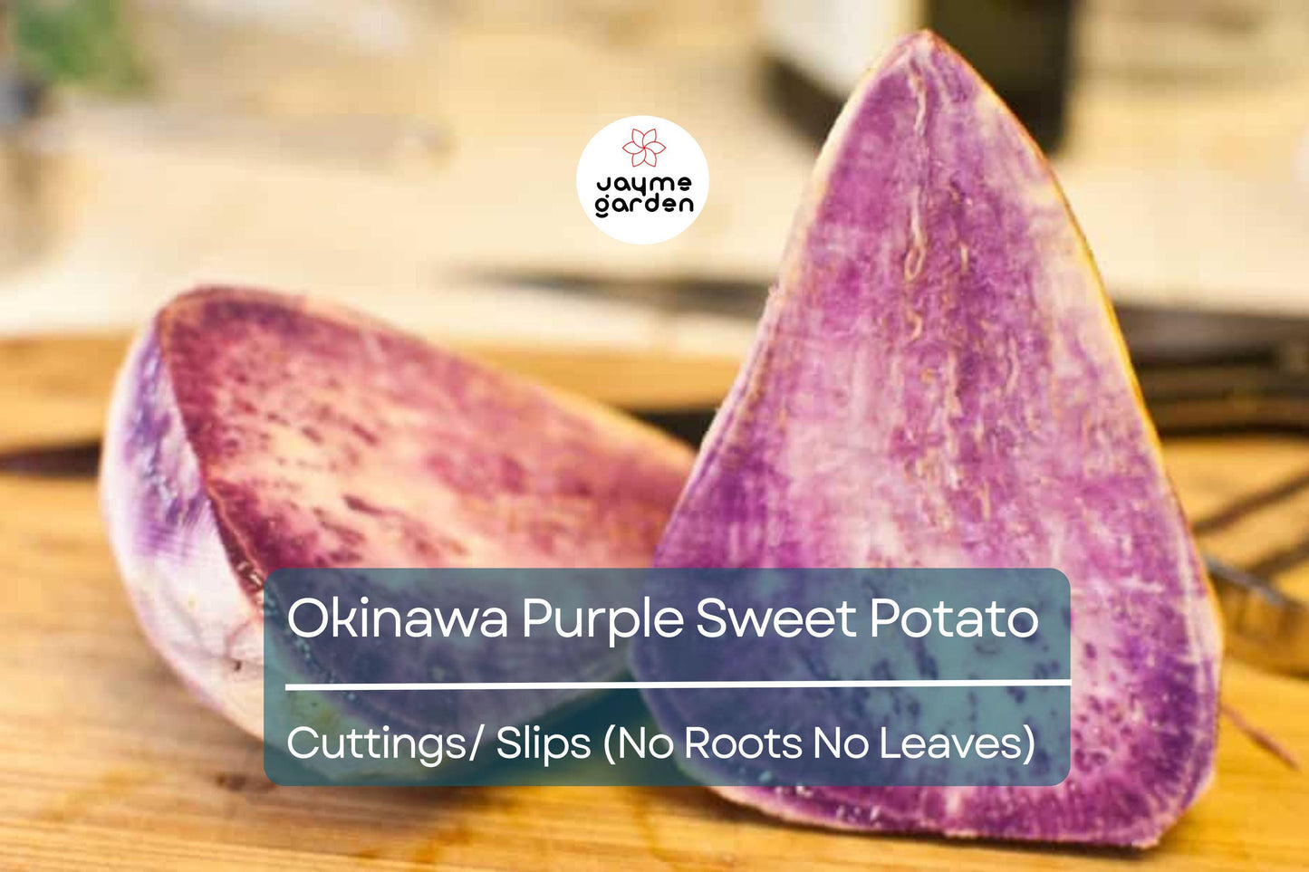 10 Hawaii Okinawa Purple Sweet Potato Slips - Khoai Lang Tim - No Roots, No Leaves, Easy to Grow Unroot Cuttings, Fast Growing