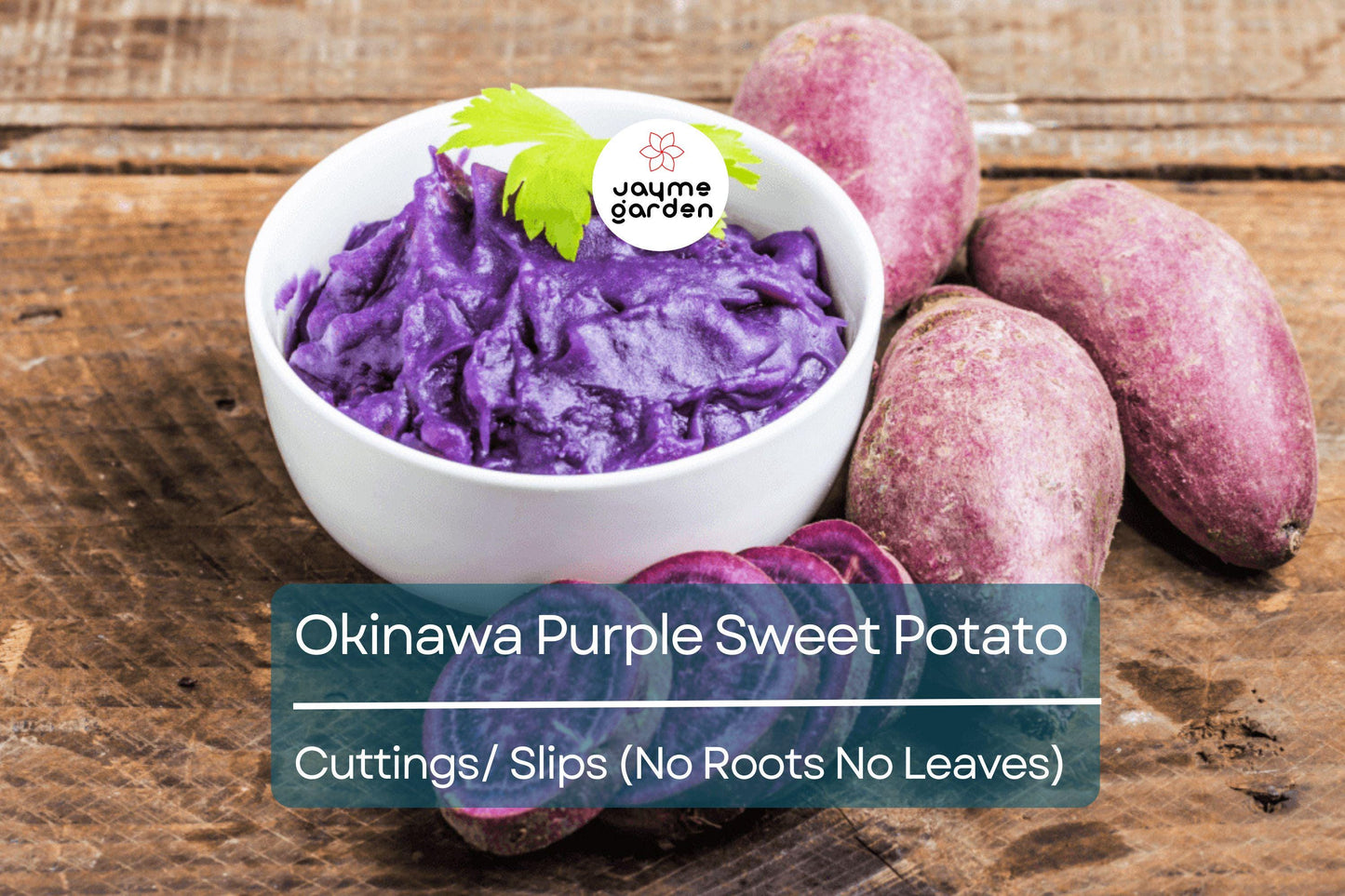 10 Hawaii Okinawa Purple Sweet Potato Slips - Khoai Lang Tim - No Roots, No Leaves, Easy to Grow Unroot Cuttings, Fast Growing