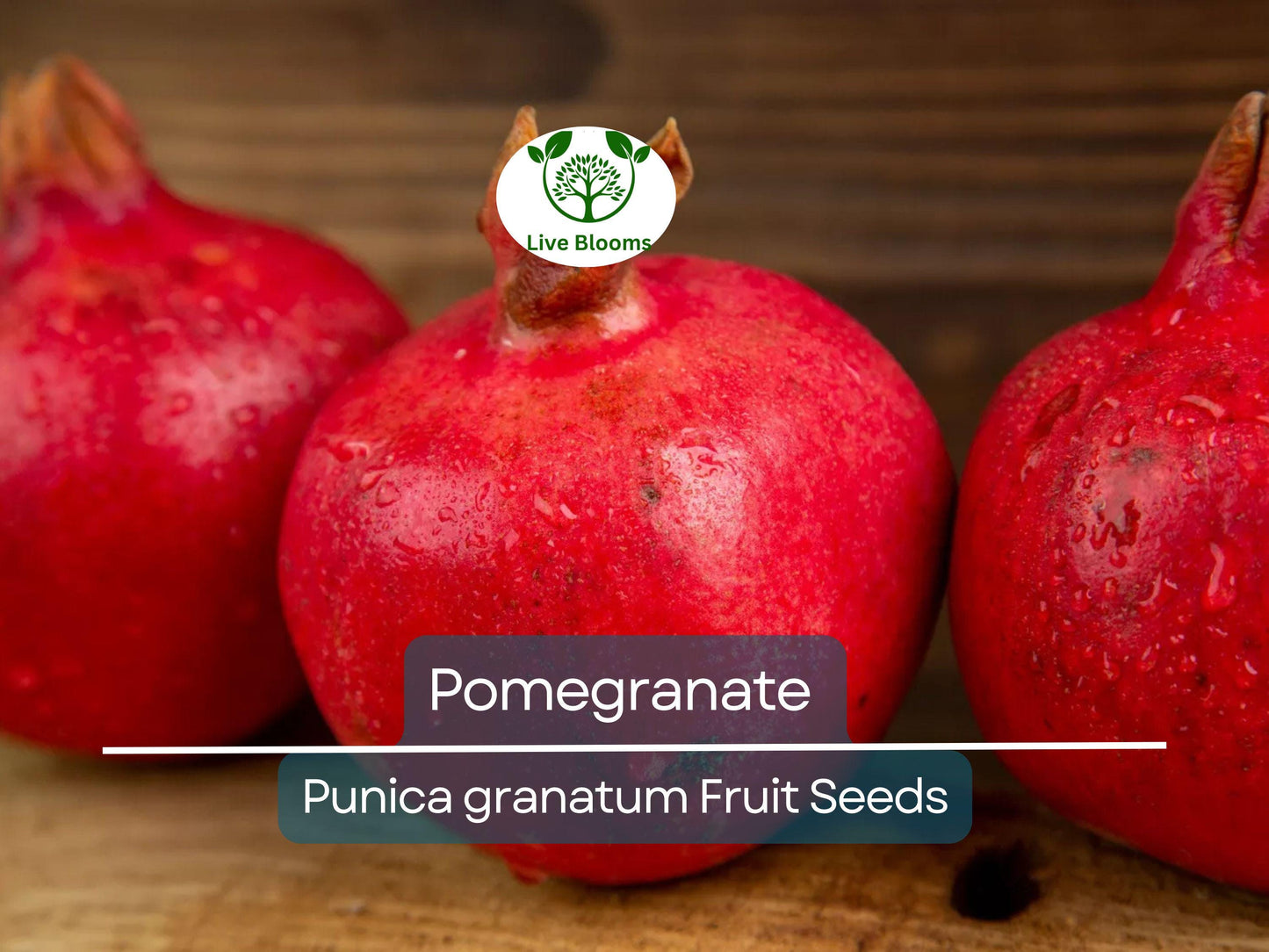 25 Pomegranate Seeds (Punica granatum) - Sweet Tropical Edible Fruit Shrub/Tree, Grow Your Own Fresh Pomegranates, Fast Growing, Healthy