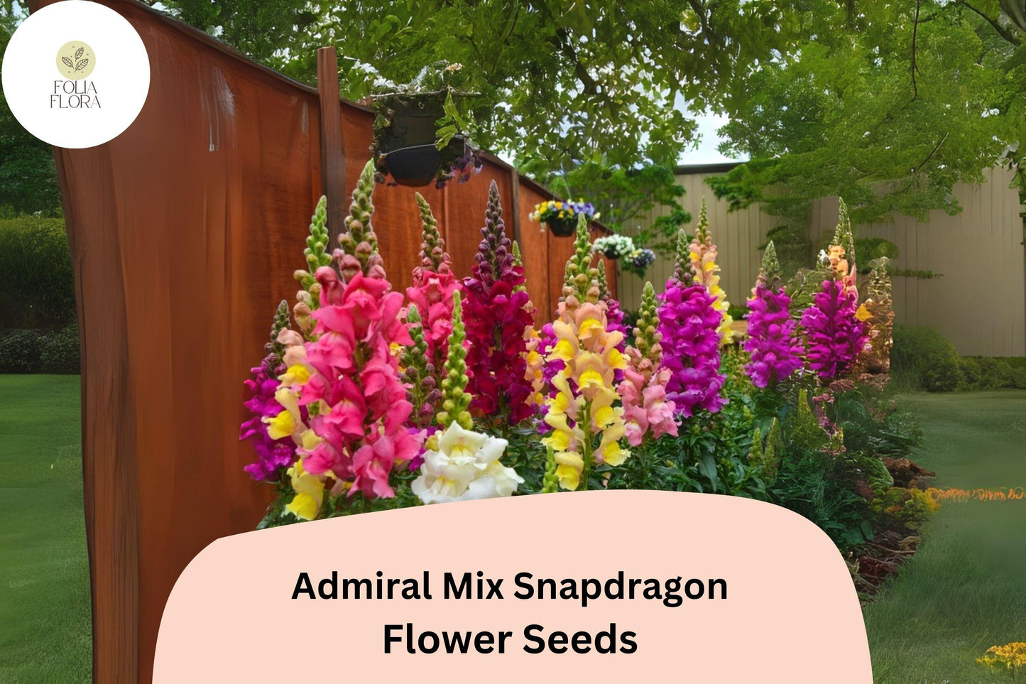Admiral Mix Snapdragon Seeds (Antirrhinum majus) | 1000+ Seeds | Vibrant Blooms for Garden & Borders