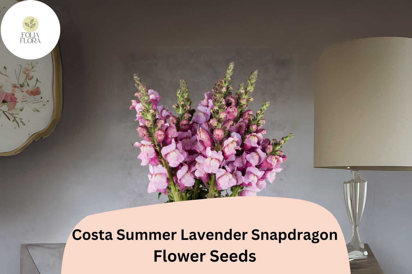 Costa Summer Lavender III Snapdragon Seeds (Antirrhinum majus) | 1000+ Seeds | Soft Lavender Blooms for Garden & Cut Flowers
