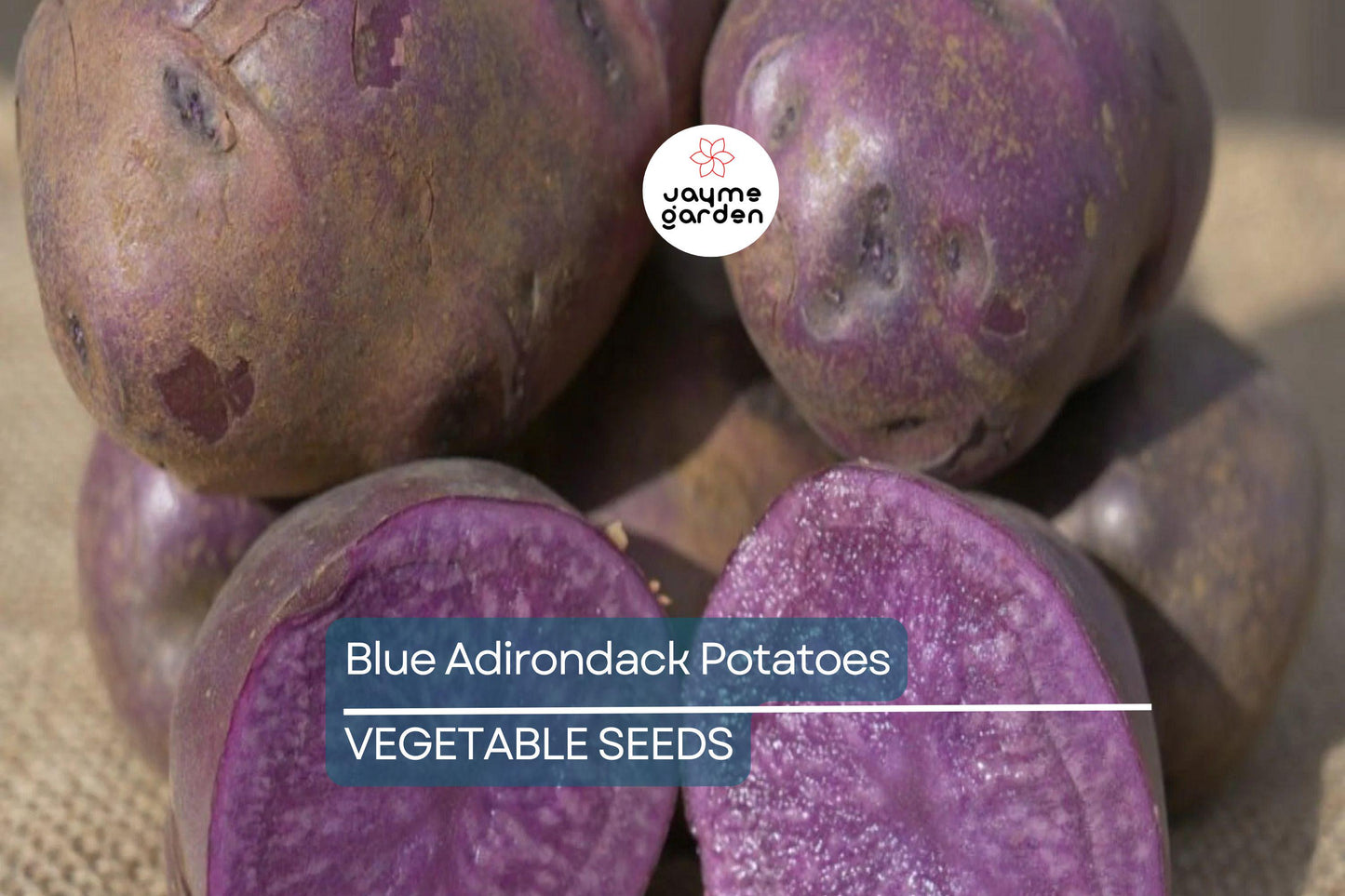 Blue Adirondack Seed Potatoes - USDA Certified, 500g Purple Potatoes for Planting, Nutrient-Rich, Vibrant & Versatile for Home Gardens