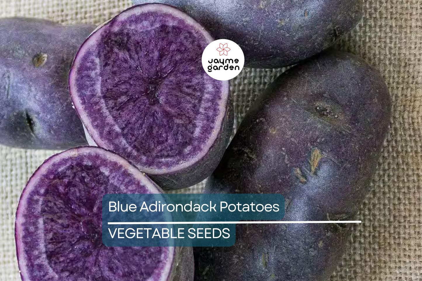 Blue Adirondack Seed Potatoes - USDA Certified, 500g Purple Potatoes for Planting, Nutrient-Rich, Vibrant & Versatile for Home Gardens