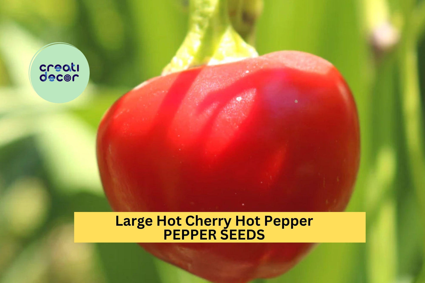 Large Hot Cherry Pepper Seeds – 250mg for Planting, Heirloom Variety, Mild-Heat, High Yield, Great for Pickling, Stuffing & Salsas
