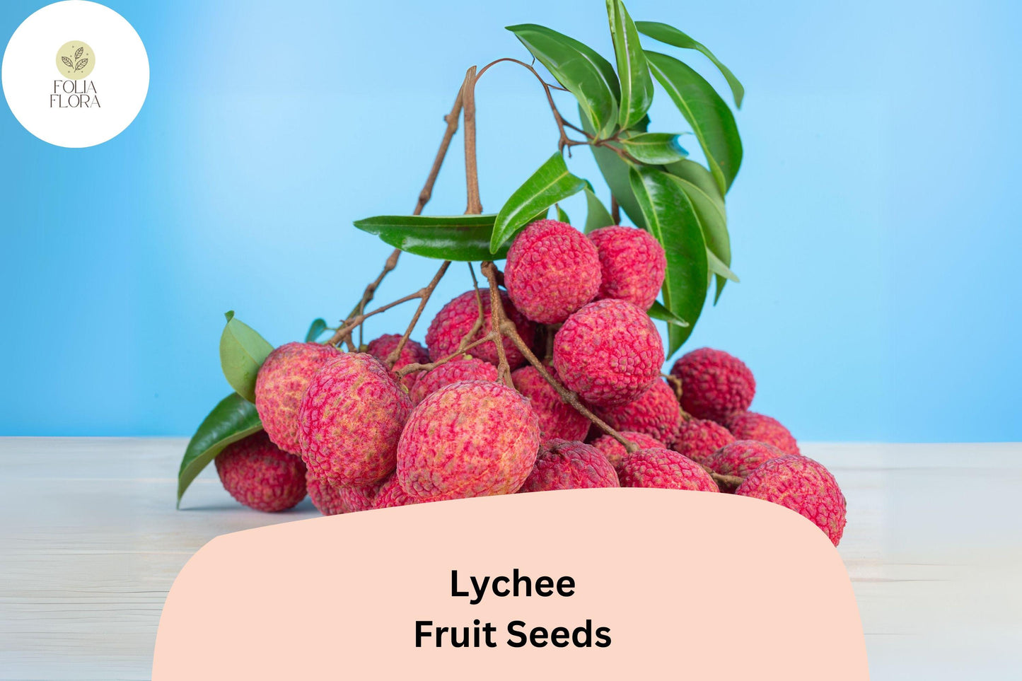 10pcs Lychee Seeds – Tropical Fruit Tree – Heirloom & Non-GMO