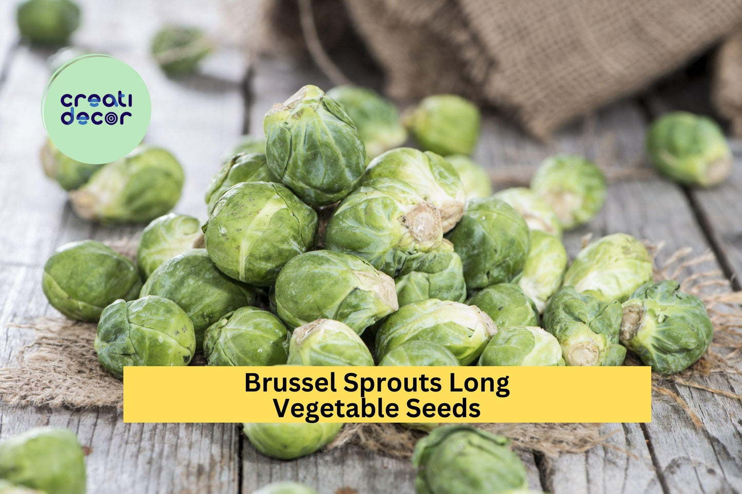 Brussels Sprouts Long Island Improved Seeds – 1g for Planting, Heirloom, Cold Hardy, High Yield, Compact Growth, Garden & Container