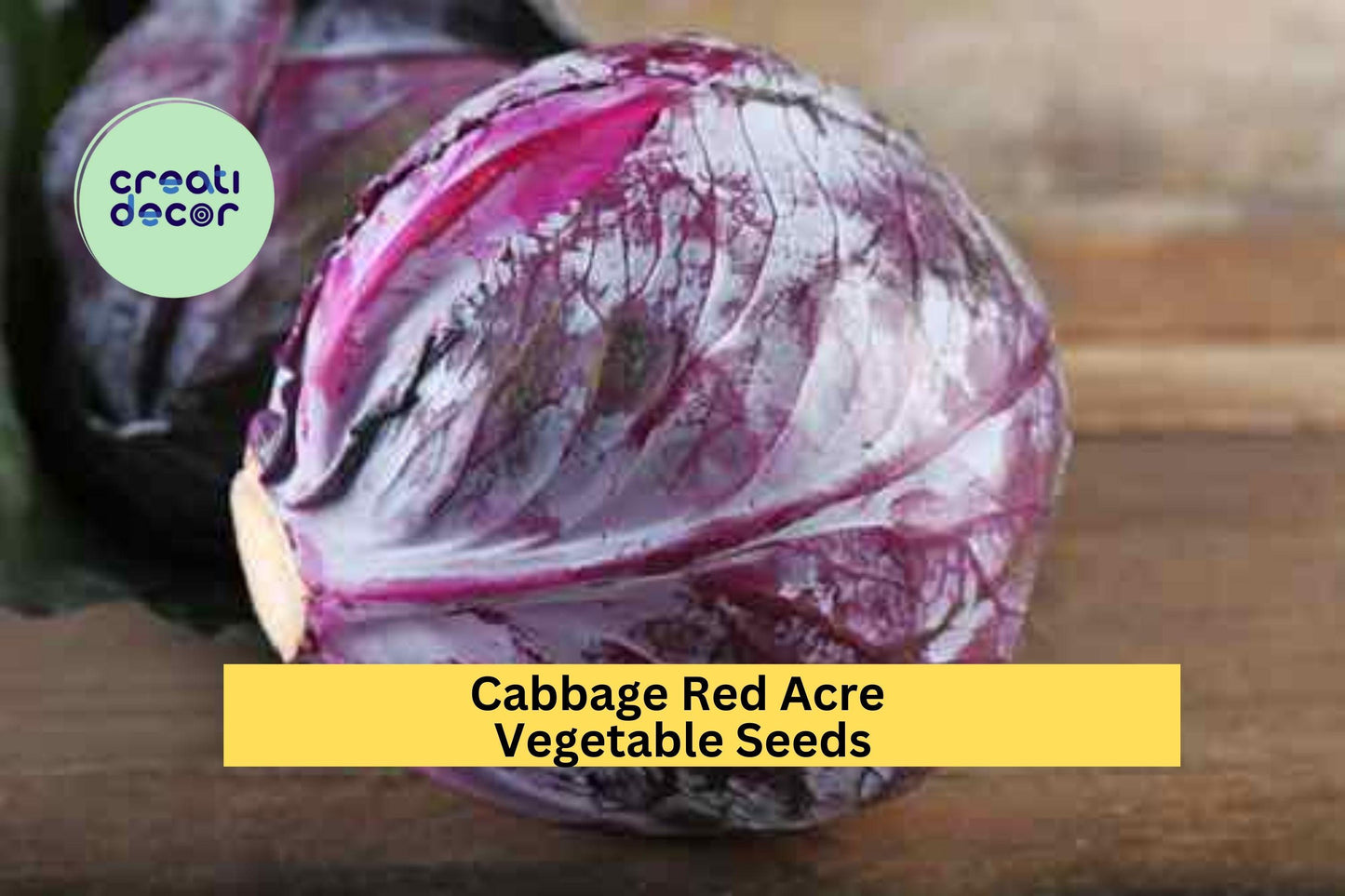 Cabbage Red Acre Seeds – 1g for Planting, Heirloom Variety, Compact & Sweet, Cold Hardy, High Yield, Garden Container