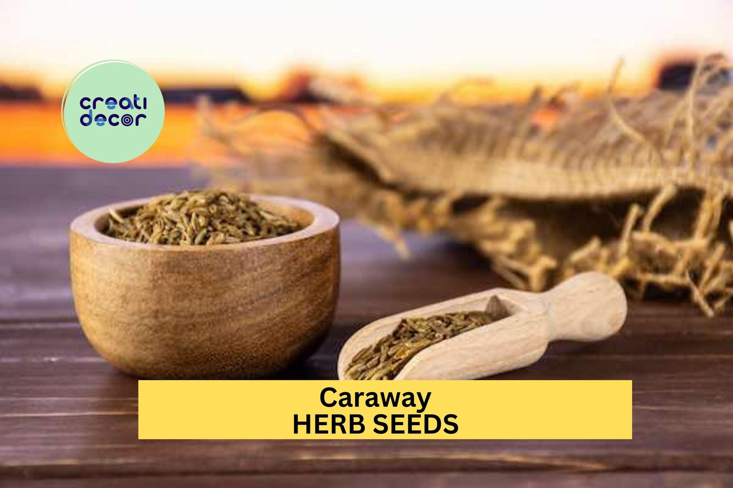 Caraway Seeds – 1g for Planting, Heirloom Variety, Fragrant Flavorful, High Yield, Biennial Herb, Garden & Container, Culinary Spice