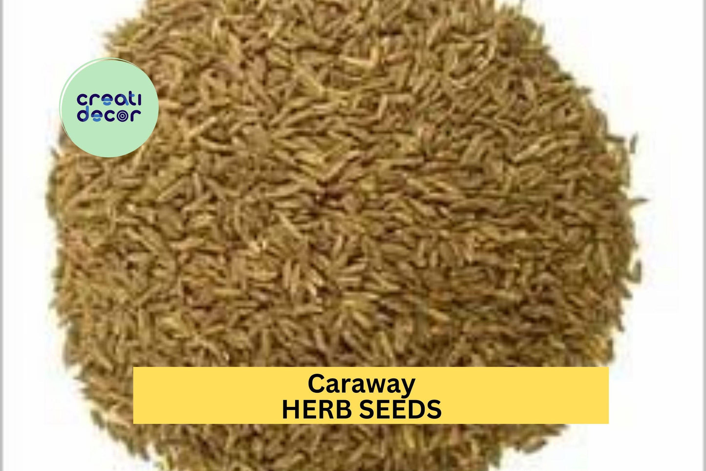 Caraway Seeds – 1g for Planting, Heirloom Variety, Fragrant Flavorful, High Yield, Biennial Herb, Garden & Container, Culinary Spice