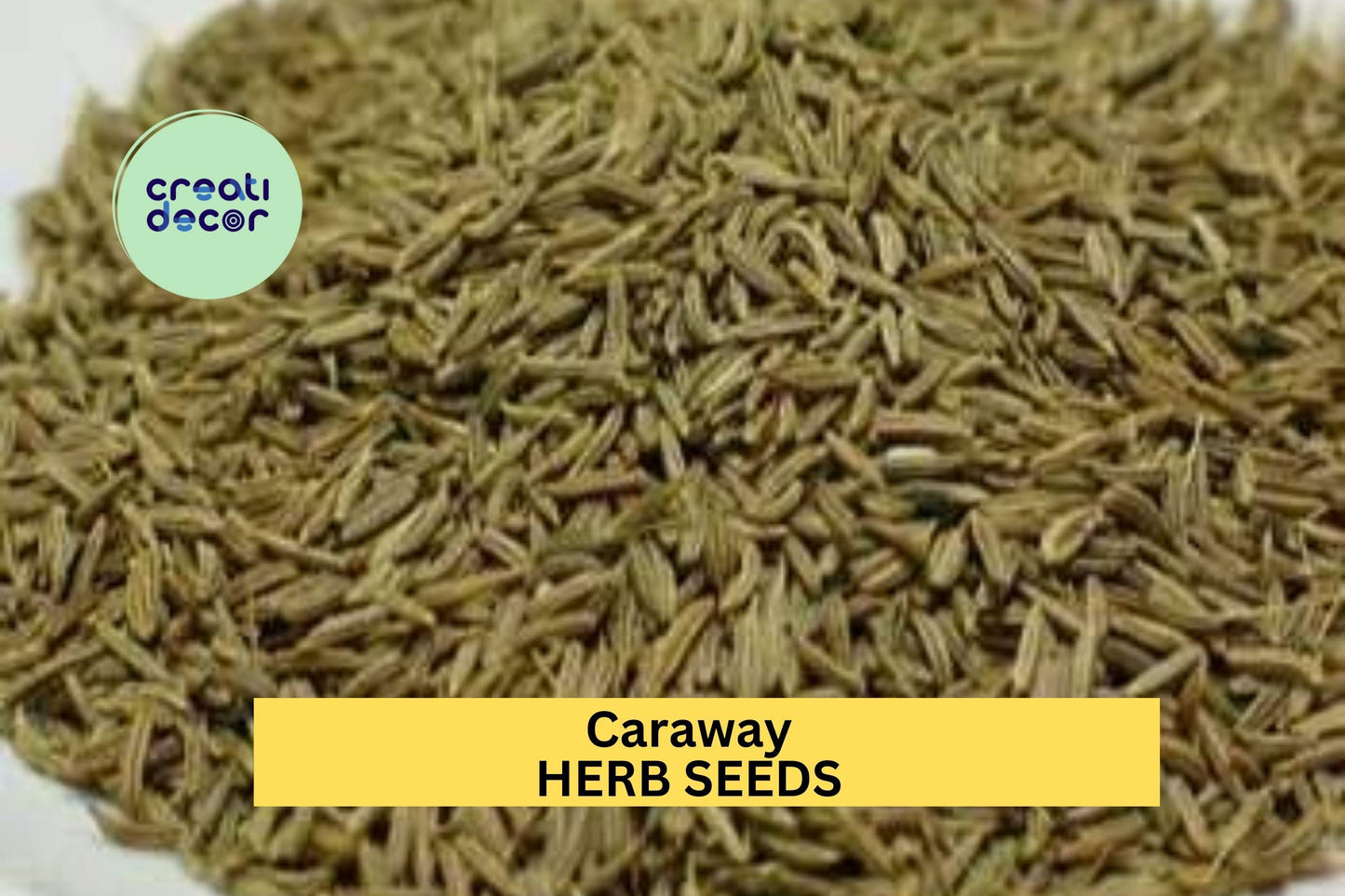 Caraway Seeds – 1g for Planting, Heirloom Variety, Fragrant Flavorful, High Yield, Biennial Herb, Garden & Container, Culinary Spice