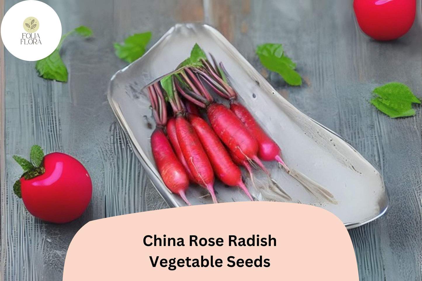 500+ China Rose Radish Seeds – Heirloom, Crisp & Spicy Winter Radish