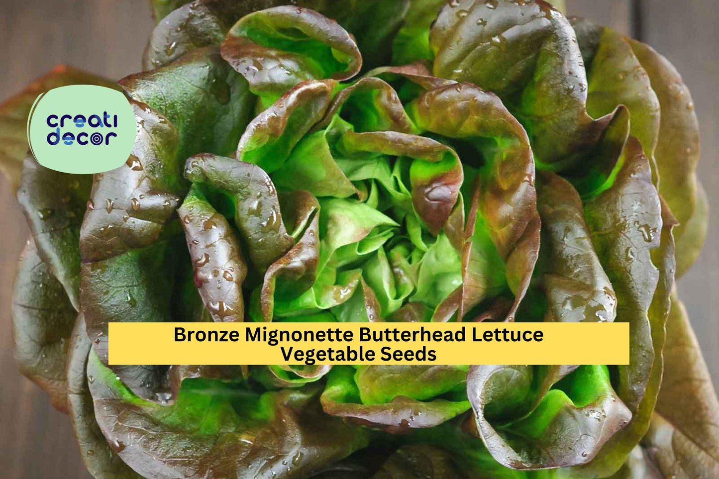 Bronze Mignonette Butterhead Lettuce Seeds – 1g for Planting, Heirloom Variety, Tender & Sweet, Cold Hardy, High Yield, Garden Container