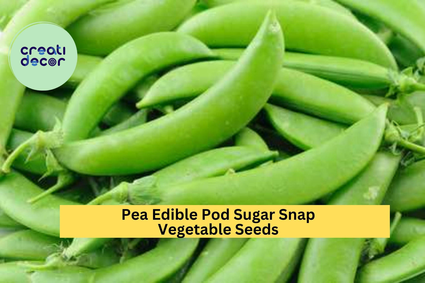 Pea Edible Pod Sugar Snap Seeds – 5g for Planting, Heirloom Variety, Sweet & Crisp, High Yield, Cold Hardy, Climbing Vine, Garden Container