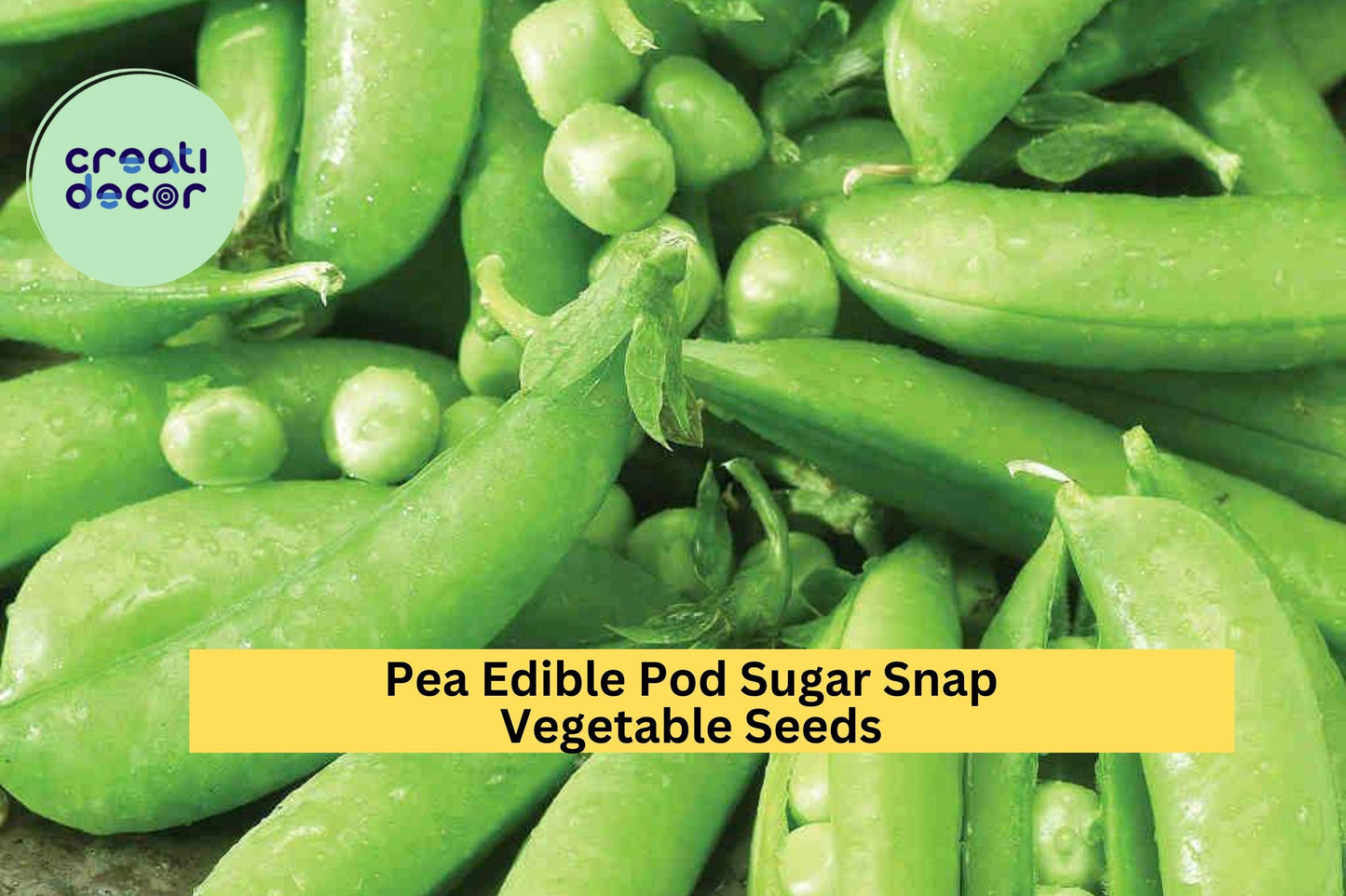 Pea Edible Pod Sugar Snap Seeds – 5g for Planting, Heirloom Variety, Sweet & Crisp, High Yield, Cold Hardy, Climbing Vine, Garden Container