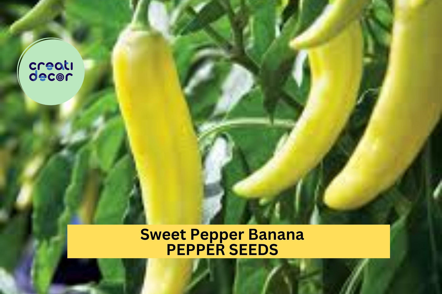 Sweet Banana Pepper Seeds – 300mg for Planting, Heirloom Variety, Mild & Sweet, High Yield, Heat Tolerant, Garden Container