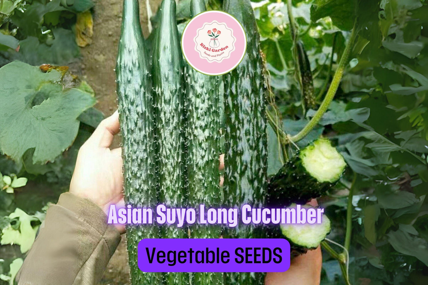 60 Seeds Asian Suyo Long Cucumber - Heirloom Non-GMO - High Yield China Long Hybrid - Sweet & Crisp - Great for Greenhouses, Gardens