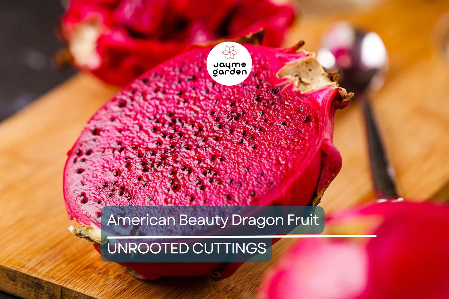 3 American Beauty Dragon Fruit Cuttings - 8-10” Fresh Cuttings, Red Flesh, Self-Pollinating - Ready to Plant