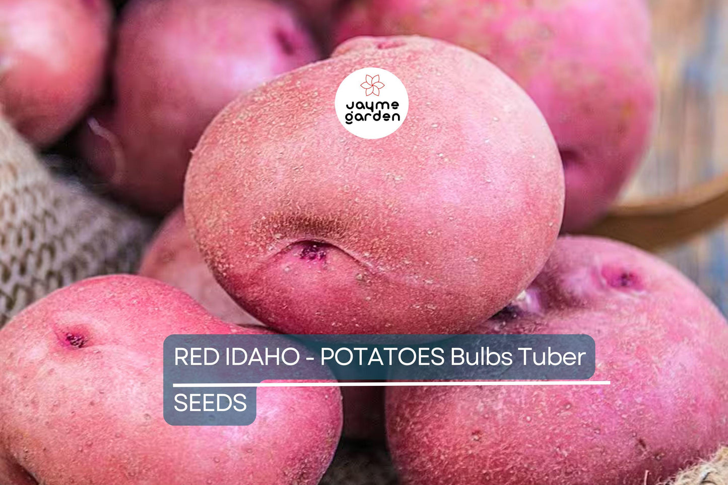 12 Red Idaho Seed Potatoes - Organic, Ready to Grow - Rich in Vitamins, Perfect for Home Gardens