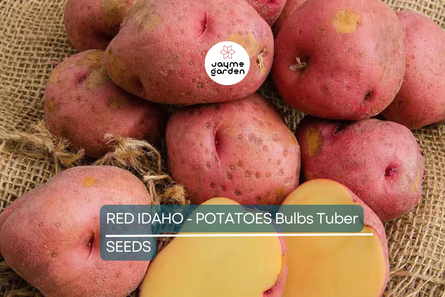 12 Red Idaho Seed Potatoes - Organic, Ready to Grow - Rich in Vitamins, Perfect for Home Gardens