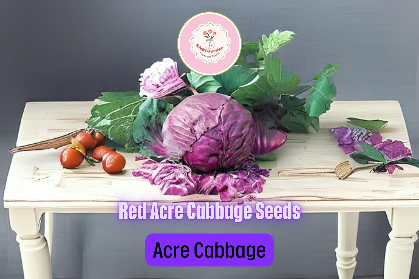 250+ Red Acre Cabbage Seeds | Brassica oleracea | Non-GMO Heirloom Red Cabbage for Garden Beds & Cool Season Harvests