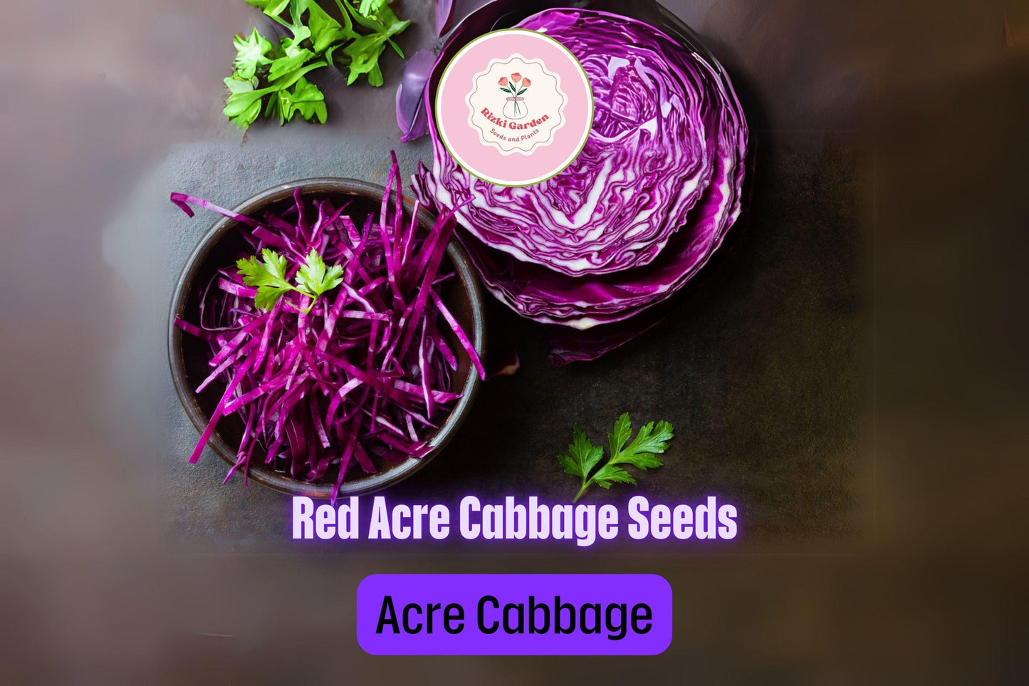 250+ Red Acre Cabbage Seeds | Brassica oleracea | Non-GMO Heirloom Red Cabbage for Garden Beds & Cool Season Harvests