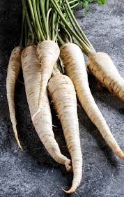100+ Parsnip Seeds for Planting | Heirloom Pastinaca sativa | Cool Season Root Vegetable for Garden Beds, Raised Rows, or Containers