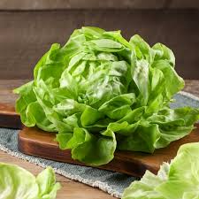 1000 Summer Bibb Lettuce Seeds – Heirloom, Non-GMO, Heat-Tolerant, Tender & Sweet