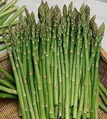 40 Seeds Asparagus Mary Washington - Asparagus officinalis | Heirloom Variety for Planting, Gardening & Delicious Harvest