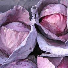 250 Seeds Red Acre Cabbage - Brassica oleracea | Heirloom Cabbage for Planting, Gardening & Nutritious Fresh Harvest