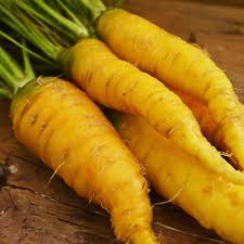 200 Seeds Solar Yellow Carrot (Daucus carota) – Vibrant Heirloom Variety for Sweet and Nutritious Roots