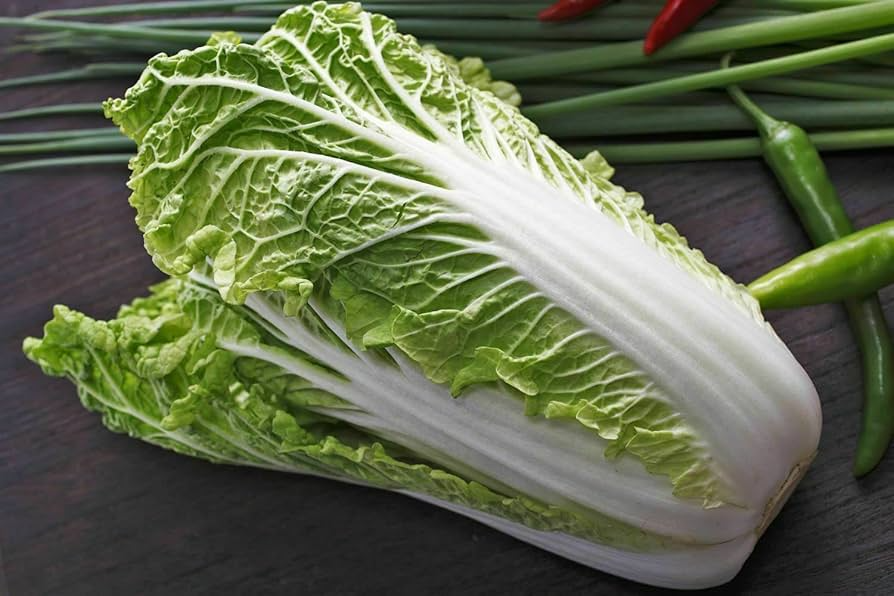 1000 Michihili Cabbage Seeds - Non-GMO, Heirloom Chinese Napa Cabbage | USA Seller,