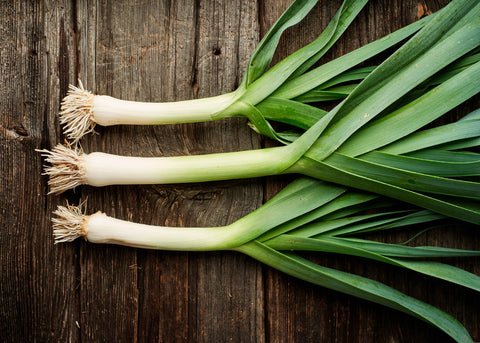 200 American Flag Leek Seeds – Allium ampeloprasum – Heirloom, Cold-Hardy, Perfect for Soups