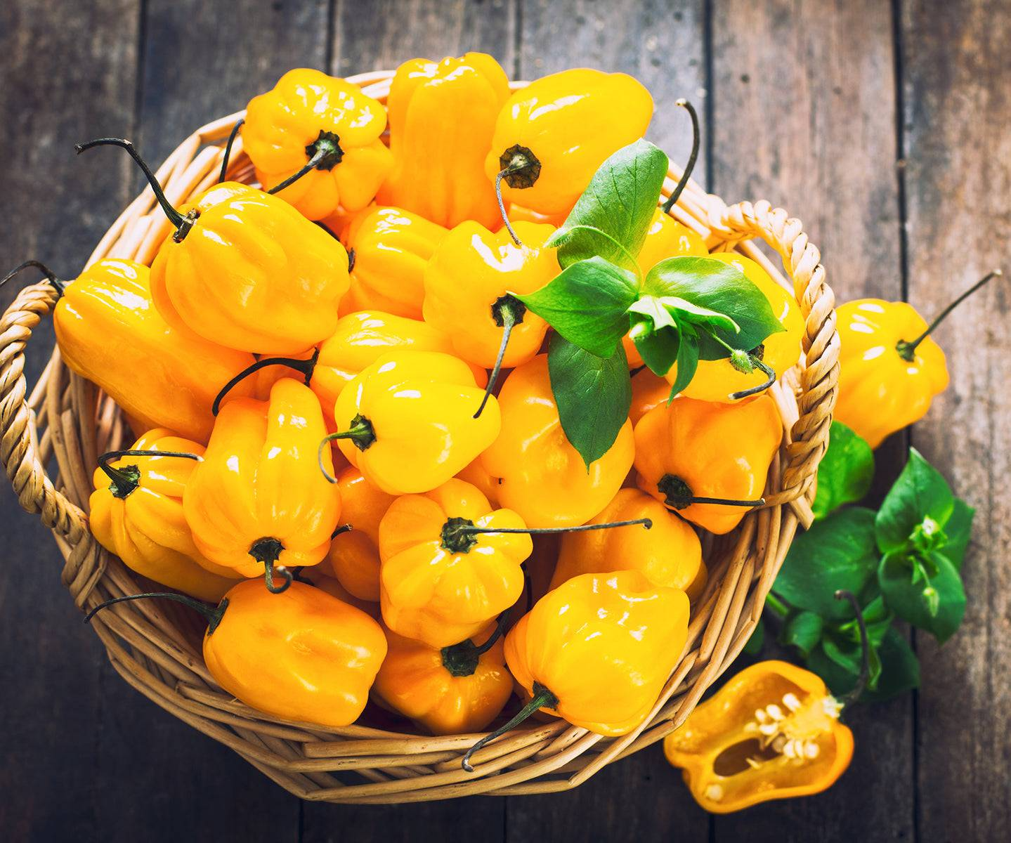 25 Jamaican Yellow Habanero Pepper Seeds – Capsicum chinense – Extra-Hot Chili, Fruity & Citrusy Flavor, Non-GMO, 200,000–300,000 Scoville