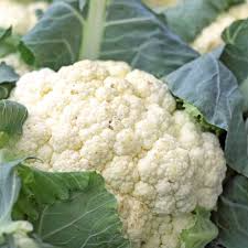 500mg Cauliflower Snowball Y Improved Seeds | Brassica oleracea | Heirloom Cauliflower | Organic, Non-GMO & Easy to Grow