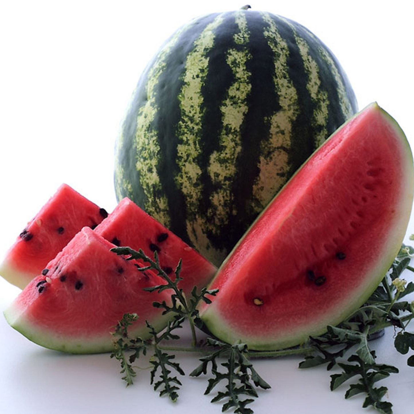 25 Seeds Crimson Sweet Watermelon, Heirloom Juicy Melons, Large and Sweet Fruit