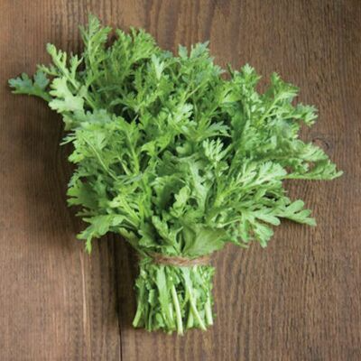 500 Shungiku Seeds - Edible Chrysanthemum - Asian Greens - Tongho - Choy Suy - Garland Chrysanthemum - Cool Season Salad Green