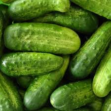 1g Cucumber National Pickling Seeds Cucumis sativus | High-Yield Variety, Perfect for Pickling & Fresh Eating