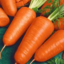 300 Seeds Red Cored Chantenay Carrot (Daucus carota) – Sweet, Crisp Heirloom Variety