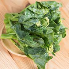 Chinese Broccoli Kailaan Seeds – 500mg for Planting, Open Pollinated, Tender Stems & Leaves, Fast Growing, High Yield, Garden Container