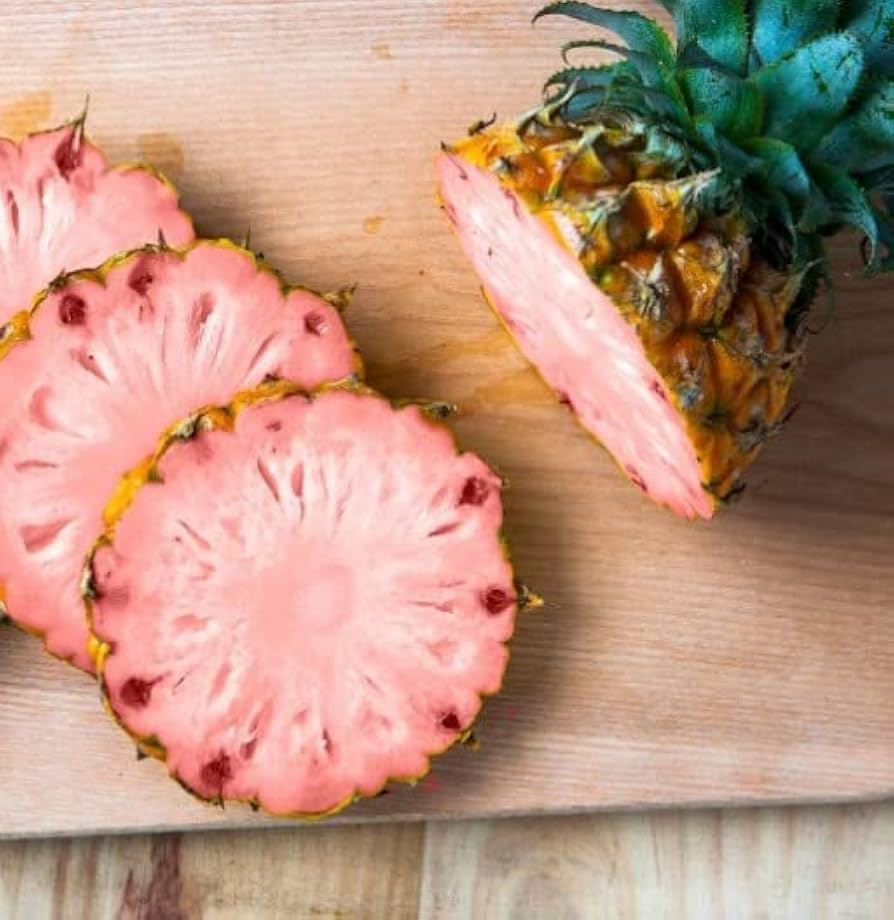 Pinkglow Pineapple Seeds - 15+ Rare Tropical Seeds - USA Grown - - Exotic Fruit Plant - Sweet Pink Flesh - Home Garden