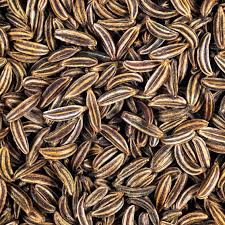 1g Caraway Seeds | Carum carvi | Heirloom, Non-GMO Culinary Herb | Aromatic & Versatile