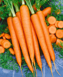 500mg Carrot Tendersweet Seeds Daucus carota | Sweet, Crisp, Non-GMO Heirloom Variety for Gardens & Containers