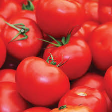 50 Seeds Floradade Tomato (Solanum lycopersicum) – Heat-Tolerant, High-Yielding Variety