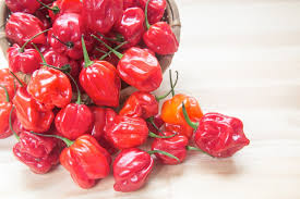 25 Habanero Pepper Seeds – Capsicum chinense – Extra-Hot Chili, Heirloom Variety, Non-GMO, 100,000–350,000 Scoville